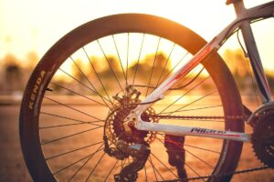 Welche Fahrradträger sind für das Schweizer Nummernschild geeignet