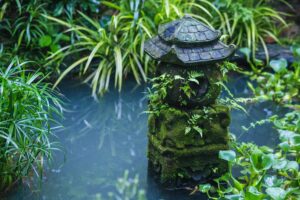 Welche Schritte sind nötig, um Algenbildung im Gartenteich zu verhindern?