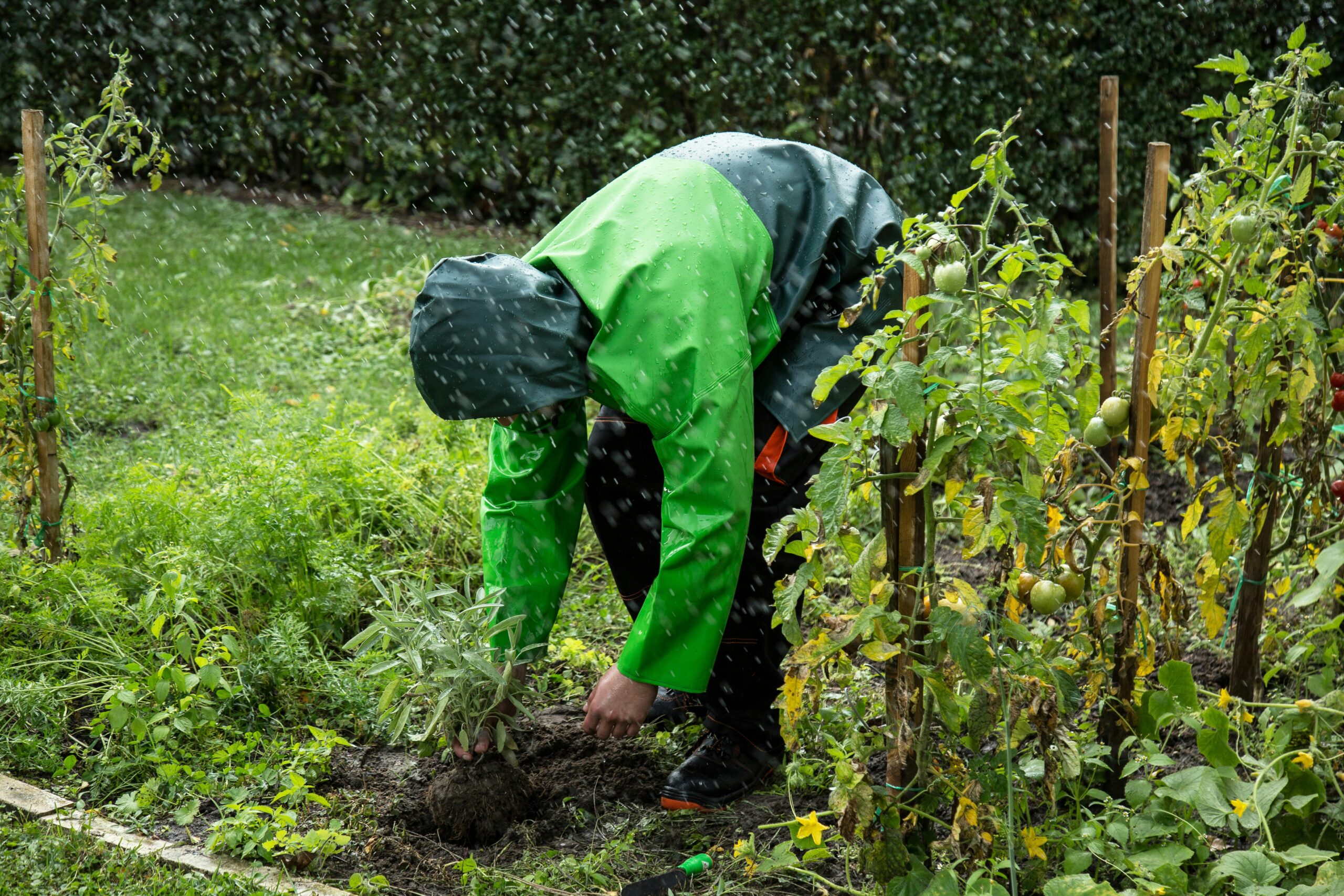 Welche Schritte helfen, um Starkregen im Garten besser abzuleiten?
