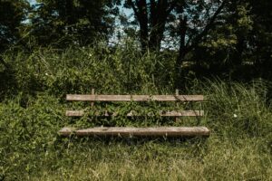 Wie baut man eine DIY-Holzbank für den Garten?