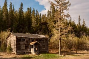 Warum sollte man bei alten Häusern den Dachboden regelmäßig auf Schädlingsbefall kontrollieren?