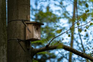 Welche Materialien eignen sich am besten für selbstgemachte Vogelhäuser?