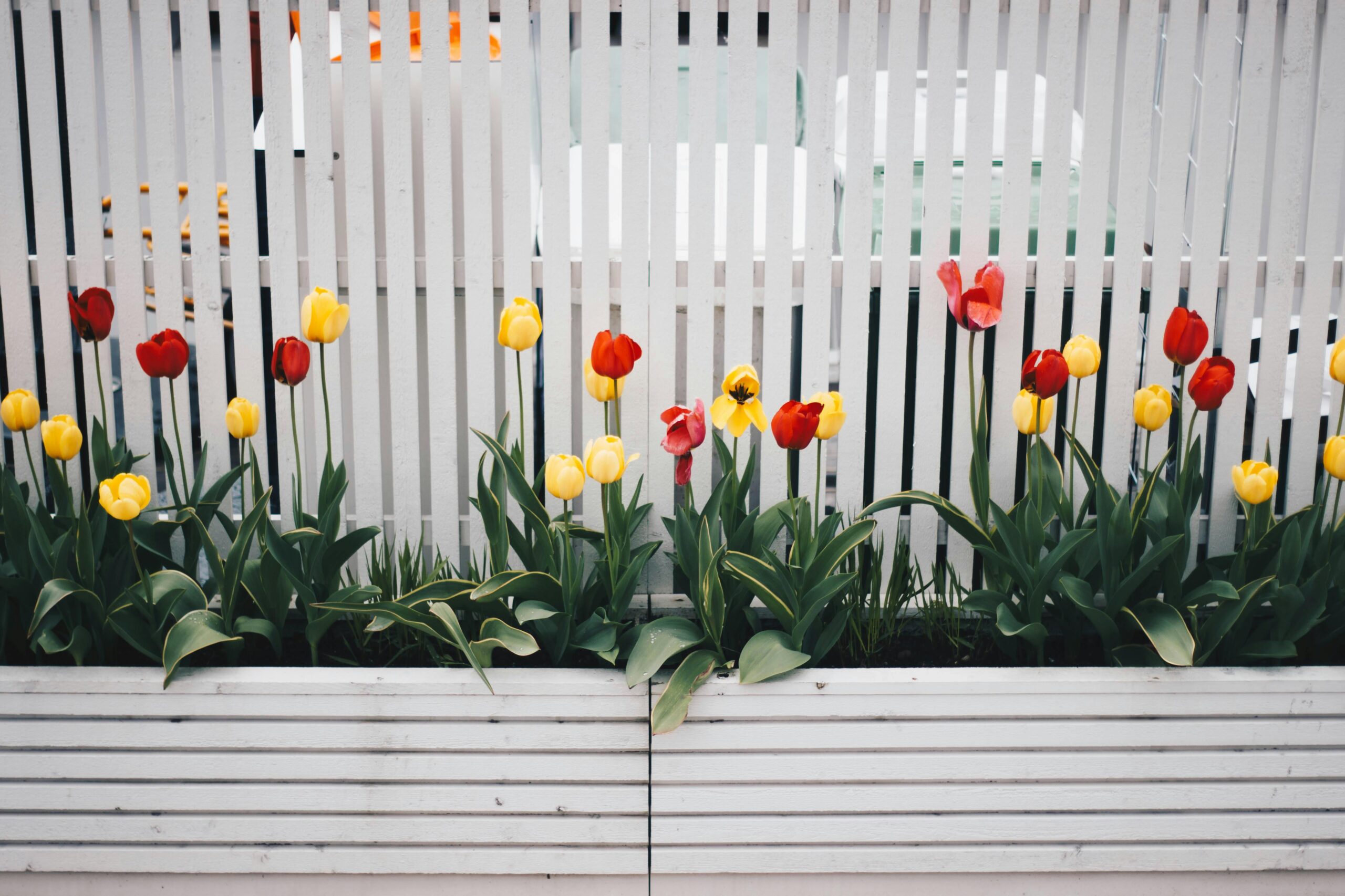 Wie baue ich einen DIY-Gartenzaun aus recycelten Materialien?